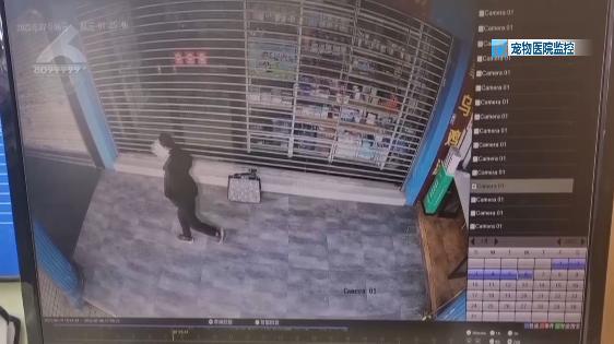 圖片